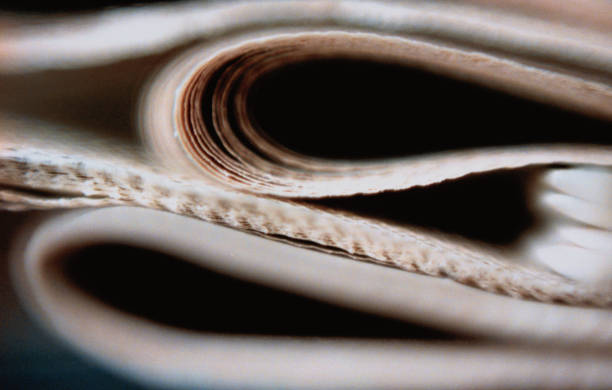 Read more about the article إعلانات المفقودات في الصحف الرسمية المعتمدة