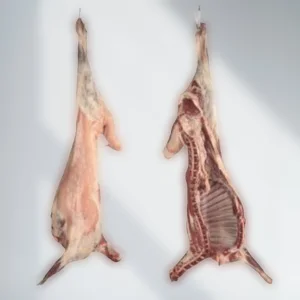 Read more about the article توصيل أجود الذبائح الطازجة للبيت – أفضل الذبائح النعيمي والحري البلدي – الرياض